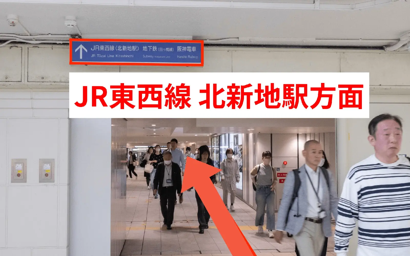 大阪駅桜橋口からお越しの方へ(地下)