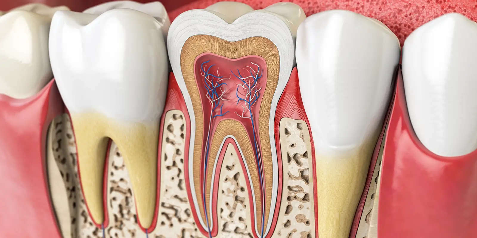 根管治療は「歯を抜かずに残す」ための治療である