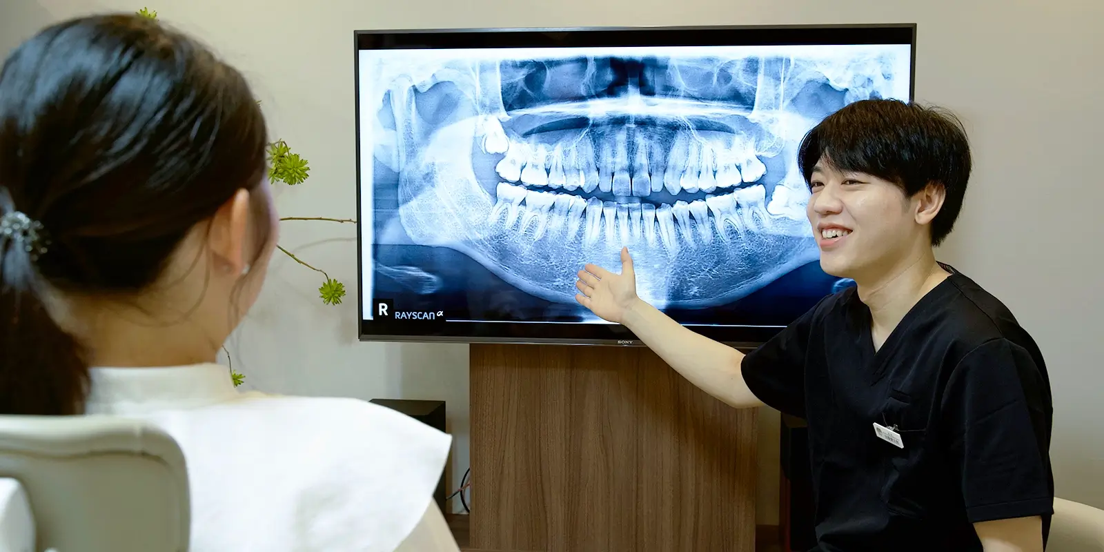 抜歯すべきかどうかの判断基準と、CT検査が不可欠な理由