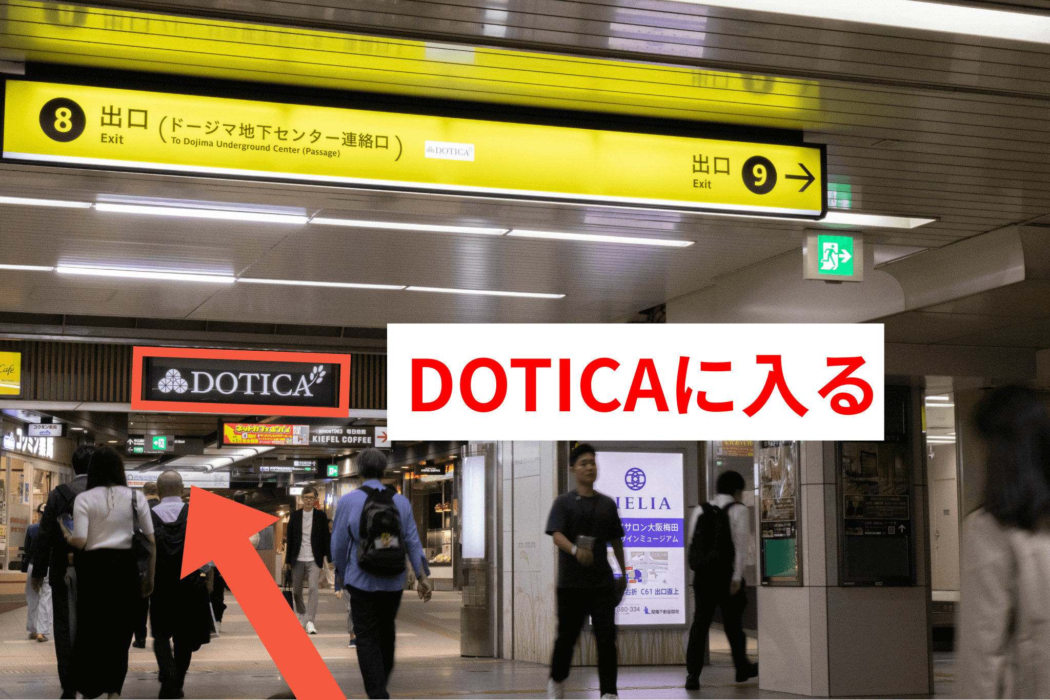 DOTICAに入りそのまま進みます。
